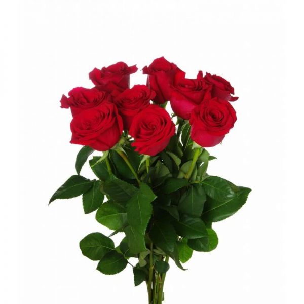 Bukiet z pięknych bordowych róż, który można zamówić w naszym sklepie.