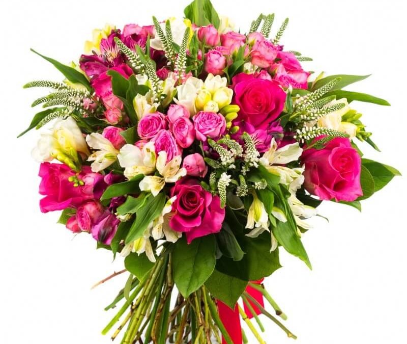 Kwiaty na Dzień Matki